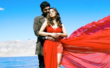 शाहरुख खान के गीत 'गेरुआ' की याद दिलाता है शौर्य मेहता और सृष्टि रोड़े का म्यूजिक वीडियो 'दिल ये दिलबरो'